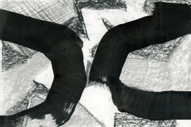 Abstracte zwarte krommen