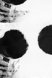 Opvallende abstracte cirkels