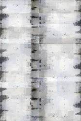 Verweerd monochroom raster