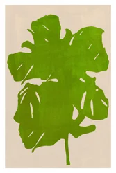 Groene Monstera Silhouette