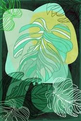 Groene biologische Monstera