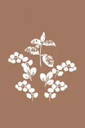 Minimalistische witte bladeren
