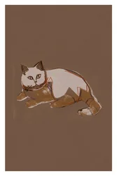 Moderne, gestileerde kat