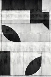 Monochrome organische vormen