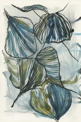 Biologische blauwe bladeren