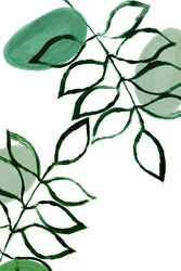 Biologische groene bladgroenten