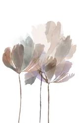 Zachte aquarelbloemen