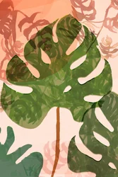 Tropische Monstera-bladeren