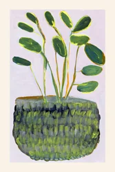 Kleurrijke potplant