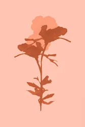 Warme botanische bloei