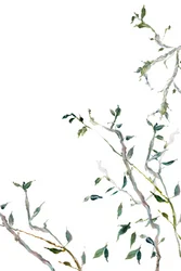 Aquarel groene bladeren
