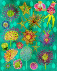 Levendige botanische tuin