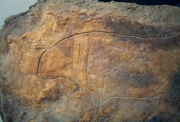 Graffito met stier. Oude Griekse beschaving, Magna Graecia